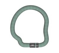Abus Serratura d'oca 6206K / 110 menta