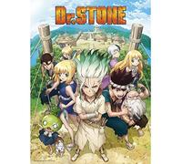 ABYSTYLE - Dr Stone - Poster - Gruppo (52x38 cm)