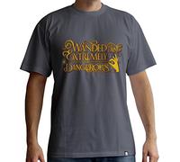 ABYstyle - FANTASTIC BEASTS - Tshirt - "Wanded" - Uomo - grigio scuro (XL)