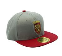ABYstyle - Harry Potter - Snapback Cap One Size gray