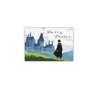 ABYstyle - Harry Potter Magnete standard Harry & Hogwarts