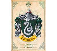 ABYstyle - Harry Potter poster, Slytherin, 91.5 x 61 cm