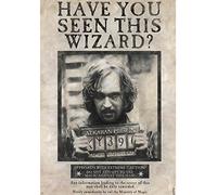ABYSTYLE HARRY POTTER Wanted Sirius Black Donna Poster Multicolore Carta