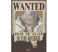 ABYSTYLE - One Piece - Poster - Wanted Rayleigh (52x35)