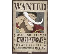 ABYSTYLE Poster One Piece Wanted Whitebeard 61x91.5cm