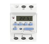 AC 220V 230V 110V DC 12V 24V 48V 15A 30A THC15A Interruttore orario settimanale su rotaia Relè Timer Controller(30A,1NO1NC 24V AC DC)