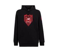 AC Milan Felpa Ftbl Icons, Prodotto Ufficiale, Unisex, Nero con Cappuccio, M
