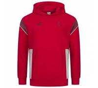 Puma Felpa Ac Milan Ftblarchive