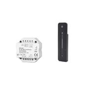 AC100-240V 1CH 0/1-10V WiFi e push dimmer RF Tuya Wifi 2.4G R11 RF Touch Dimming Applicazione remota(Color:L1(WT) - R11)