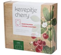 ACA Cherrypits Pillow Jumbo 26x55 cm 1 pz Cuscino riscaldante