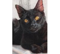 Academic diary 2025-2026 week to view, with black cat artwork by Sally Sturgess: 108 pages and glossy hard back cover. Perfect gift for student or black cat lover