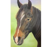 Academic diary 2025-2026 week to view, with Horse artwork by Sally Sturgess: September 25 to August 26. 108 pages and glossy hard back cover. Perfect gift for student or horse lover