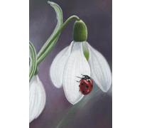 Academic diary 2025-2026 week to view, with Ladybird on Snowdrop artwork by Sally Sturgess: September 25 to August 26. 108 pages and glossy hard back cover. Perfect gift for student or ladybird lover