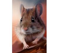 Academic diary 2025-2026 week to view, with Mouse artwork by Sally Sturgess: September 25 to August 26. 108 pages and glossy hard back cover. Perfect gift for student or mouse lover