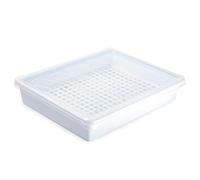 Acan Tradineur - Set di 4 vassoi refrigerati con coperchio e griglia in plastica, riutilizzabili, scongelare alimenti, prodotto in Spagna, 4 l, 35 x 27,5 x 6,5 cm, colore: Bianco
