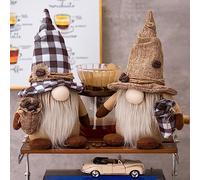 ACAREY 2 pezzi da caffè gnomo decorazione autunnale e estiva Rudolph peluche ornamento pomodoro svedese per stazione e giorno del Ringraziamento