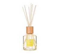 Acca Kappa - Diffusore a forma di mandarino verde con bastoni, 250 ml