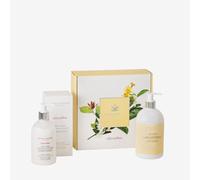 ACCA KAPPA SET OF CALYCANTHUS