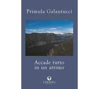 Accade tutto in un attimo