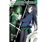 Accel World 2: The Red Storm Princess – Yen Press
