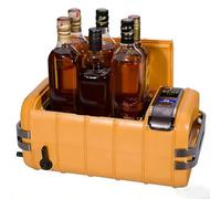 Acceleratore elettrico decanter per vino per l'invecchiamento di whisky e liquori, dispositivo per infusione per bar e ristoranti