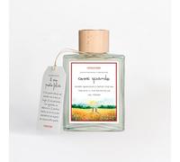 ACCENDILA Come Quando Posto Felice - Diffusore a Bastoncini, Fresia e Violetta, 200 ml, Profumatore per Ambienti in Vetro, Made in Italy