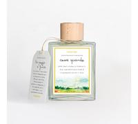 ACCENDILA Come Quando Sole - Diffusore a Bastoncini, Eucalipto e Patchouly, 200 ml, Profumatore per Ambienti in Vetro, Made in Italy