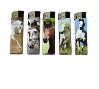 Accendino, set di5 accendini elettrici ricaricabili, accendini elettronici accendini originali decorati a cavallo ricaricabili per accendere sigarette, sigari o candele, 2 disegni per accendino Idea r