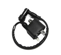 Accenditore Scatola CDI Bobina di accensione elettrica per AX100, bobina esistente, accessori moto. Per pezzi ricambio per 100 cc. AX
