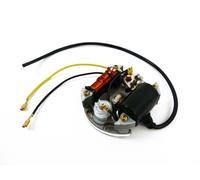 Accensione 6V 17W per Kreidler Flory Florett Ciclomotore Con Bosch Lichtmasch