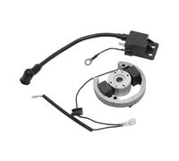 Accensione a rotore interno for moto GY6 Am6 for SX 50 50cc Kit volano statore for moto 2 tempi 50cubi Ciclomotore Tuning Motocross
