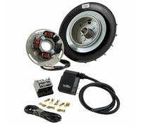 ACCENSIONE ANTICIPO VARIABILE VOLANO PINASCO FLYTECH KG 1,6 VESPA PX 125 150 200