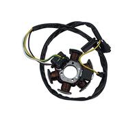 Accensione Bobina per AM6 50 Magnete Statore Per DT50 Per TZR 50 Accensione Charing Bobina Generatore Scooter Ciclomotore