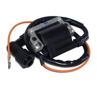 Accensione Bobina Per Yamaha YT175 1982-1983/RT100 1990-2000/GP300 1976-1977