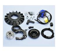 Accensione Completa Digitale Polini Per Moto Ricambi Accessori Parti