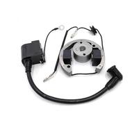 Accensione elettronica for moto adatta for bobina di accensione a corsa 50cc KTM50 Kit volano statore rotore interno