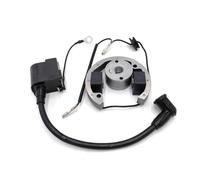 Accensione elettronica for moto adatta for So SX Stator Sur Ron Bobina di accensione a 2 tempi 50cc KTM50 Kit volano statore a rotore interno