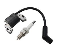 Accensione Inizio Bobina Accensione Bobina Candela di Motori Ciclomotore