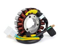 Accensione Magneto Statore Compatibile Con Hyosung Per GV250 2012 2013 2014 2015 Bobina Statore Magnete Accensione Generatore Motore Moto Bobina Statore 32101H98600