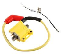 accensione motore Per SUPER100 Per WEB100 Per WAVE100 Per YX140 Per BIZ100 Per Pop100 EX5 Moto CDI BOX Accenditore Curva AC Unità Bobine Di Accensione(Ignition Coil)