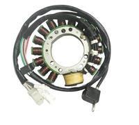 Accensione per Moto, per Warrior 350, per YFM350 1998 1999 2000 2001 Magnete Statore Relè di avviamento Bobina di accensione Bobina di statore Interruttore di accensione