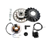 Accensione Polini Vespa PX 125 / 150 / 200cc