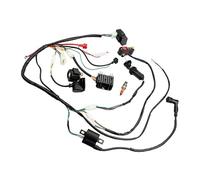 Accensione Sostituzione Per ATV Per QUAD Per Dirt Bike 150Cc 200Cc Cablaggio Elettrico Completo CDI Bobina Di Accensione Kit Relè Solenoide Per 4 Tempi