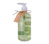 Accentra Dispenser di sapone BOTANIC SPA con sapone per le mani, sapone liquido in dispenser decorativo, 290 ml, profumo: eucalipto e limone, idea regalo per donne, mamma e fidanzata - ricaricabile