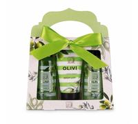 Accentra set da bagno OLIVE in confezione regalo verde bianco oro elegante | Idea wellness pronta, scatola decorata a finestra, fiocco luminoso, tre cosmetici corpo per pause curate, serene e pensate