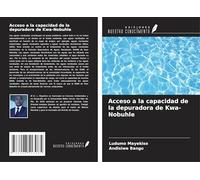 Acceso a la capacidad de la depuradora de Kwa-Nobuhle