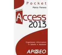 Access 2013