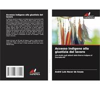 Accesso indigeno alla giustizia del lavoro: Uno studio sugli abitanti della Riserva Indigena di Dourados-MS