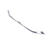 Accessori Auto Modanatura Inferiore In Rete Per Griglia Anteriore In ABS Cromato Per Toyota Per C-HR CHR AX10 2019-2020 POMPOMPUR(ABS Chrome)