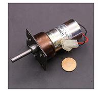 Accessori fai da te Avviamento elettronico piccolo elettrico Avviamento elettronico Micro Gear Tensione DC 12-24 V 230 RPM Riduzione 37 mm Cambio coppia elevata motore speciale